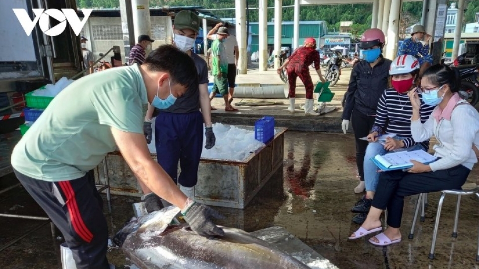 Raw material crisis, stricter IUU controls hinder tuna industry’s recovery